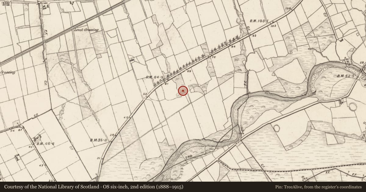 Ordnance Survey six-inch map, 2nd edition (1888–1915) covering the location of Hut site, Dooneen, County Kerry, with a pin at the register's coordinates