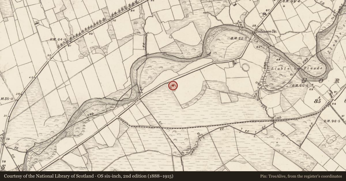 Ordnance Survey six-inch map, 2nd edition (1888–1915) covering the location of Ringfort - rath, Tullig, County Kerry, with a pin at the register's coordinates