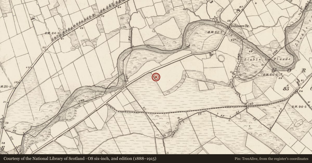 Ordnance Survey six-inch map, 2nd edition (1888–1915) covering the location of Hut site, Tullig, County Kerry, with a pin at the register's coordinates