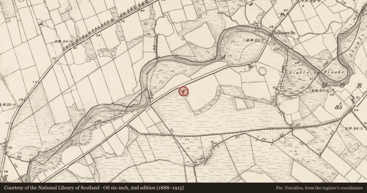 Ordnance Survey six-inch map, 2nd edition (1888–1915) covering the location of Hut site, Tullig, County Kerry, with a pin at the register's coordinates