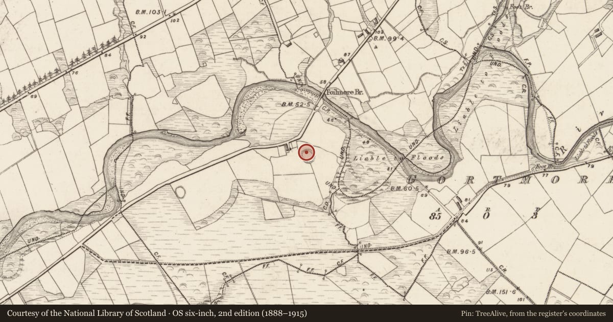 Ordnance Survey six-inch map, 2nd edition (1888–1915) covering the location of Hut site, Tullig, County Kerry, with a pin at the register's coordinates