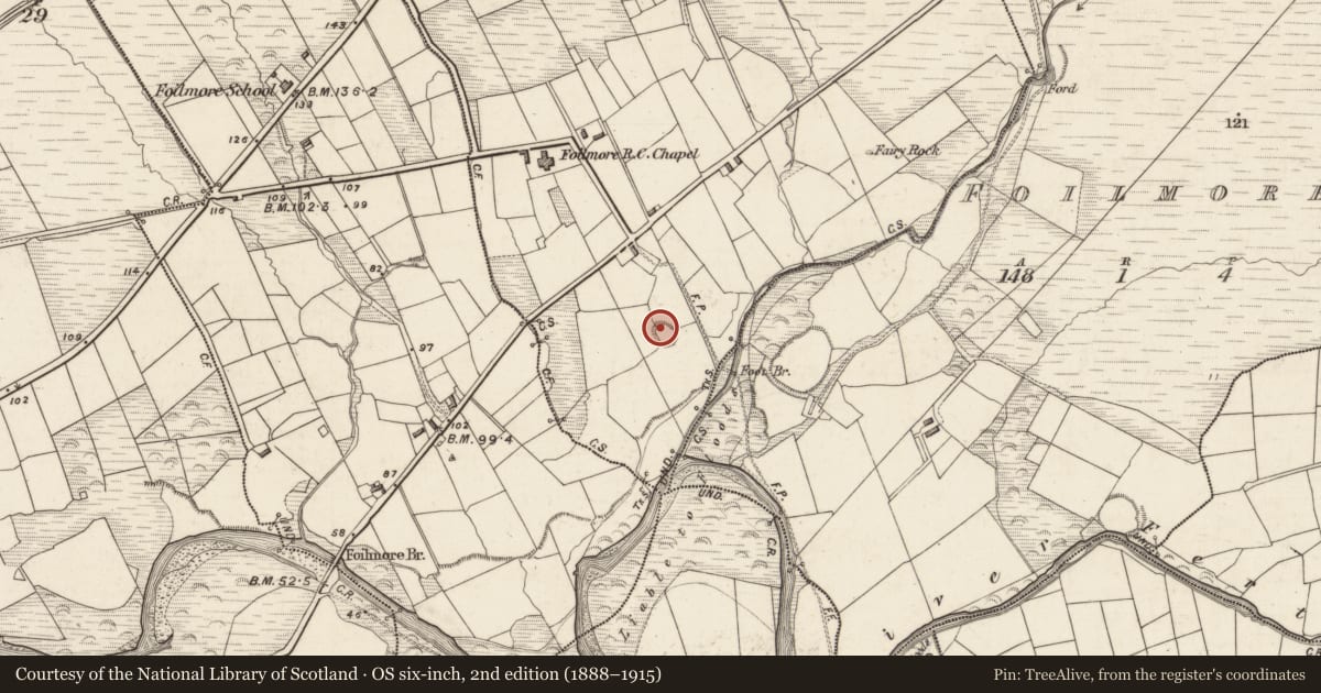 Ordnance Survey six-inch map, 2nd edition (1888–1915) covering the location of Ringfort - rath, Ballynahow More, County Kerry, with a pin at the register's coordinates