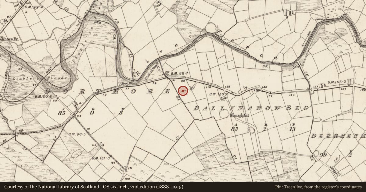 Ordnance Survey six-inch map, 2nd edition (1888–1915) covering the location of Rock art, Ballynahow Beg, County Kerry, with a pin at the register's coordinates