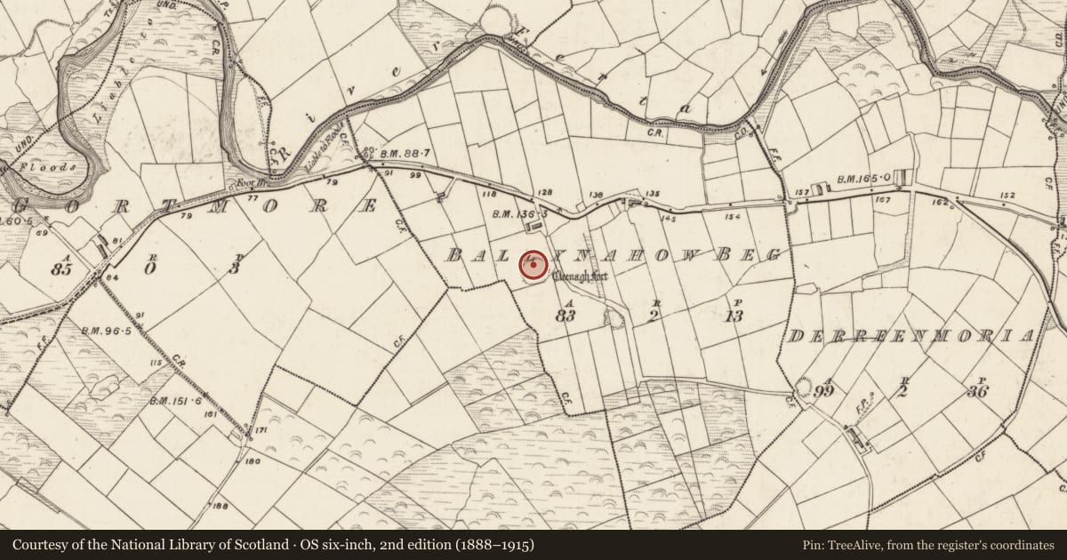 Ordnance Survey six-inch map, 2nd edition (1888–1915) covering the location of Ringfort - rath, Ballynahow Beg, County Kerry, with a pin at the register's coordinates