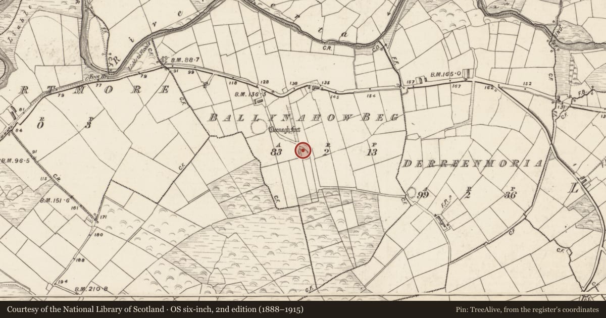 Ordnance Survey six-inch map, 2nd edition (1888–1915) covering the location of Ringfort - rath, Ballynahow Beg, County Kerry, with a pin at the register's coordinates