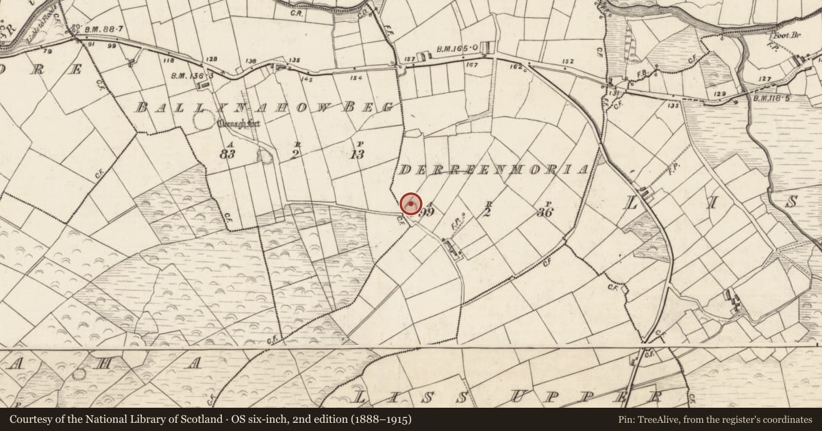 Ordnance Survey six-inch map, 2nd edition (1888–1915) covering the location of Enclosure, Derreenmoria, County Kerry, with a pin at the register's coordinates