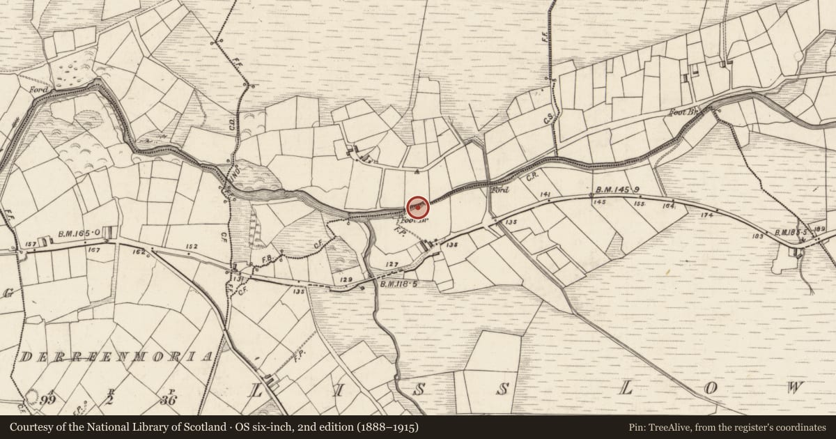 Ordnance Survey six-inch map, 2nd edition (1888–1915) covering the location of Standing stone, Liss Lower, County Kerry, with a pin at the register's coordinates