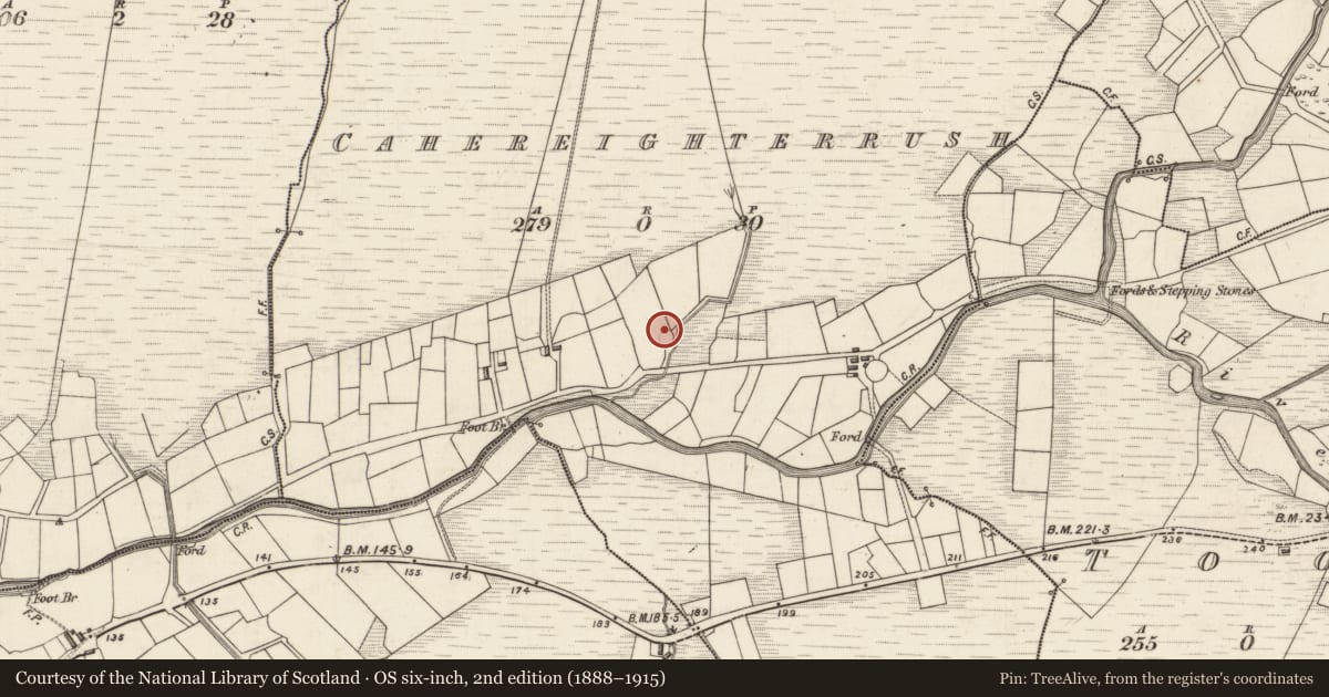 Ordnance Survey six-inch map, 2nd edition (1888–1915) covering the location of Ringfort - rath, Cahereighterrush, County Kerry, with a pin at the register's coordinates
