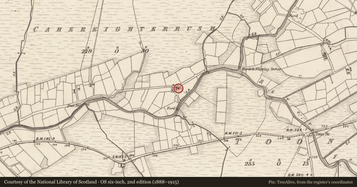 Ordnance Survey six-inch map, 2nd edition (1888–1915) covering the location of Ringfort - cashel, Cahereighterrush, County Kerry, with a pin at the register's coordinates