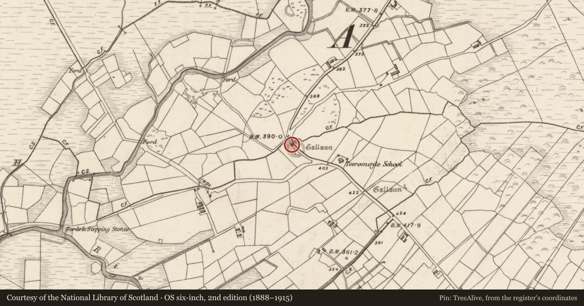 Ordnance Survey six-inch map, 2nd edition (1888–1915) covering the location of Ringfort - rath, Toon, County Kerry, with a pin at the register's coordinates