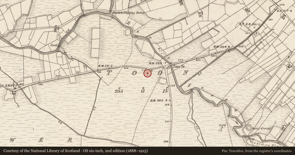 Ordnance Survey six-inch map, 2nd edition (1888–1915) covering the location of Field boundary, Toon, County Kerry, with a pin at the register's coordinates