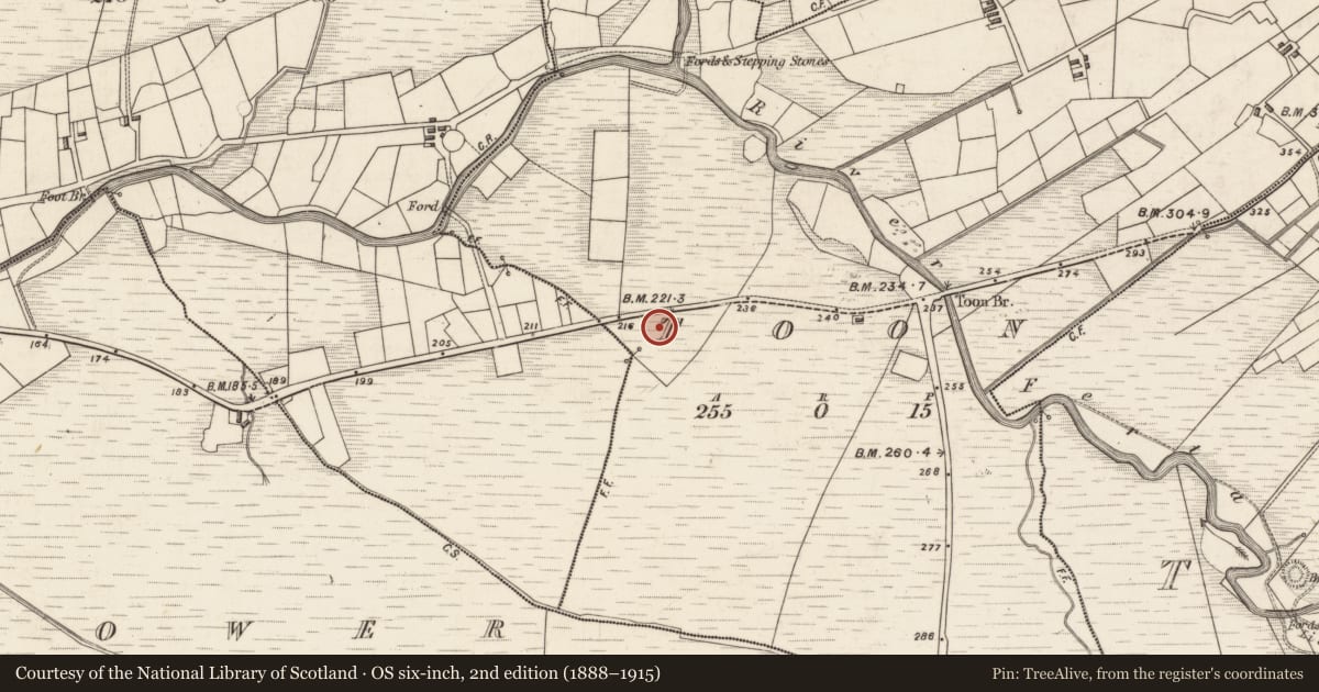 Ordnance Survey six-inch map, 2nd edition (1888–1915) covering the location of Standing stone, Toon, County Kerry, with a pin at the register's coordinates