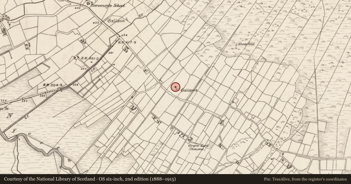 Ordnance Survey six-inch map, 2nd edition (1888–1915) covering the location of Standing stone - pair, Teeromoyle, County Kerry, with a pin at the register's coordinates