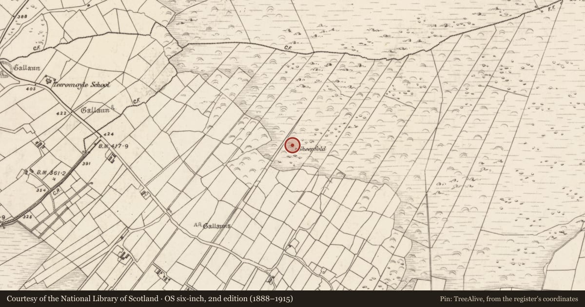 Ordnance Survey six-inch map, 2nd edition (1888–1915) covering the location of Hut site, Teeromoyle, County Kerry, with a pin at the register's coordinates