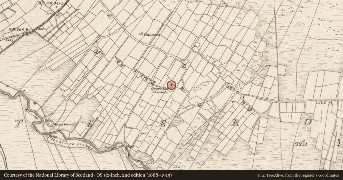 Ordnance Survey six-inch map, 2nd edition (1888–1915) covering the location of Children's burial ground, Teeromoyle, County Kerry, with a pin at the register's coordinates