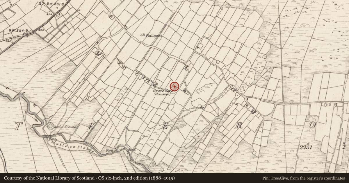 Ordnance Survey six-inch map, 2nd edition (1888–1915) covering the location of Ogham stone, Teeromoyle, County Kerry, with a pin at the register's coordinates