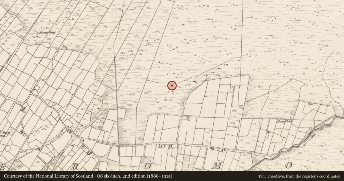 Ordnance Survey six-inch map, 2nd edition (1888–1915) covering the location of Rock art, Teeromoyle, County Kerry, with a pin at the register's coordinates