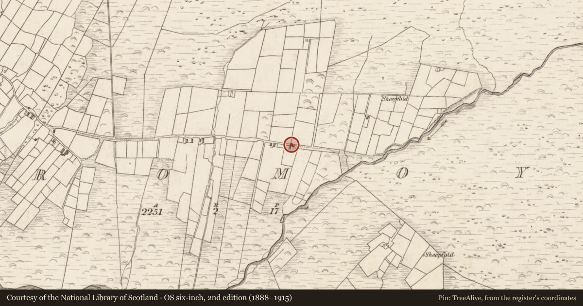 Ordnance Survey six-inch map, 2nd edition (1888–1915) covering the location of Rock art, Teeromoyle, County Kerry, with a pin at the register's coordinates