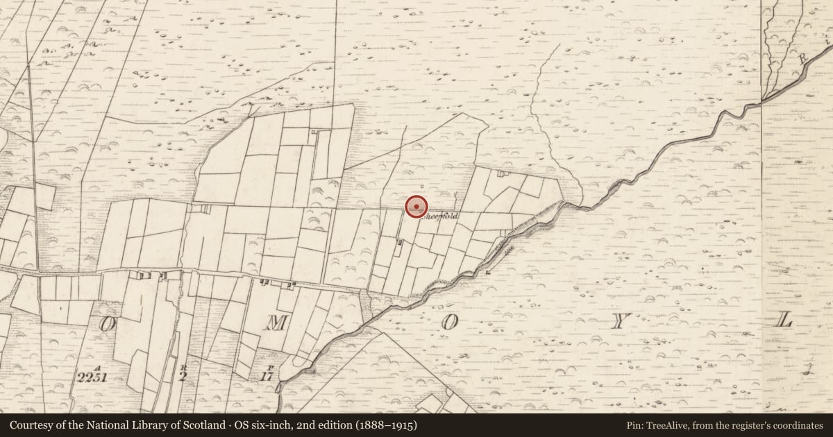 Ordnance Survey six-inch map, 2nd edition (1888–1915) covering the location of Hut site, Teeromoyle, County Kerry, with a pin at the register's coordinates