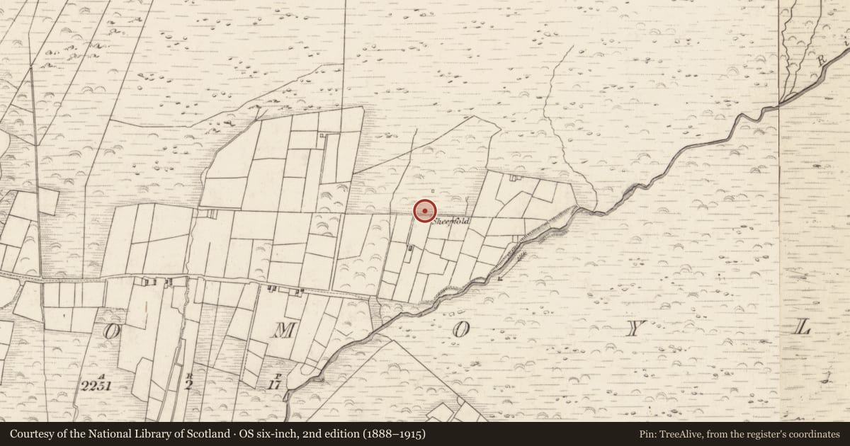 Ordnance Survey six-inch map, 2nd edition (1888–1915) covering the location of Hut site, Teeromoyle, County Kerry, with a pin at the register's coordinates