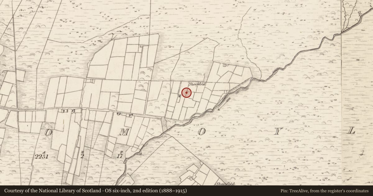 Ordnance Survey six-inch map, 2nd edition (1888–1915) covering the location of Hut site, Teeromoyle, County Kerry, with a pin at the register's coordinates