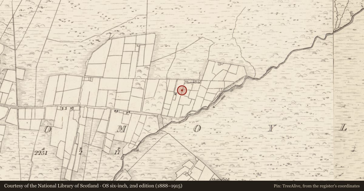 Ordnance Survey six-inch map, 2nd edition (1888–1915) covering the location of Hut site, Teeromoyle, County Kerry, with a pin at the register's coordinates
