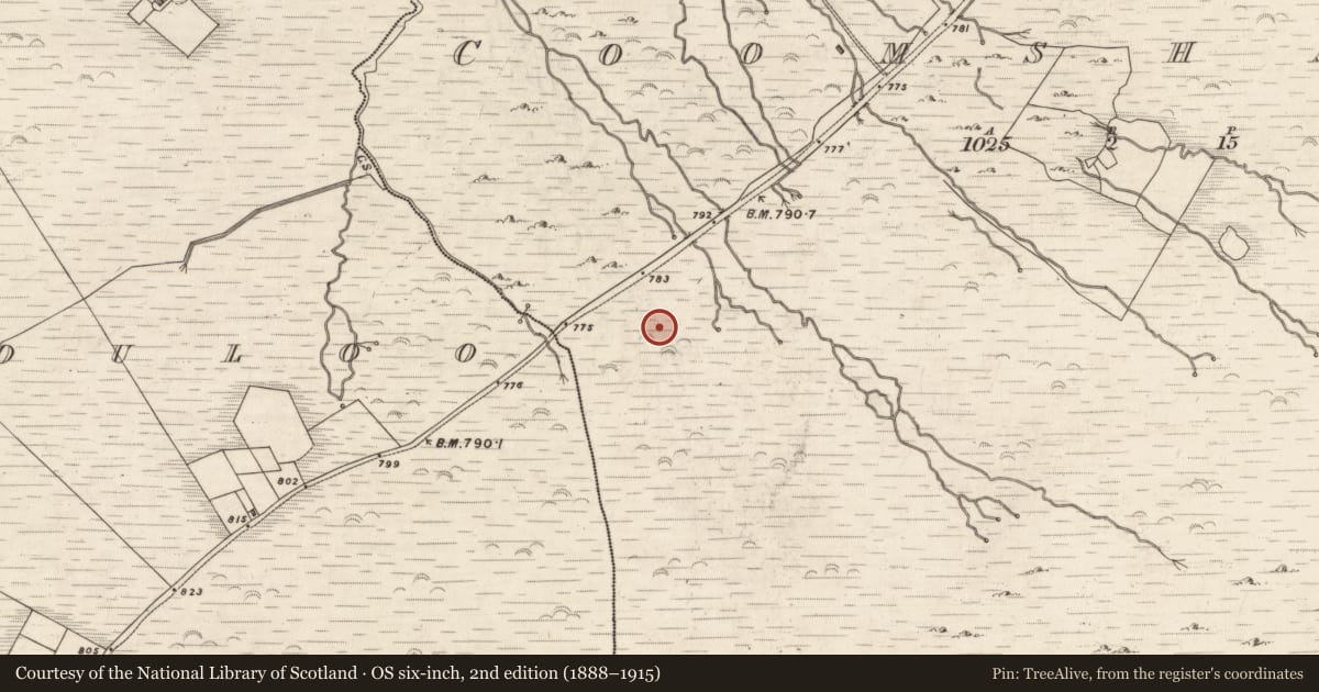 Ordnance Survey six-inch map, 2nd edition (1888–1915) covering the location of Hut site, Coomshanna, County Kerry, with a pin at the register's coordinates
