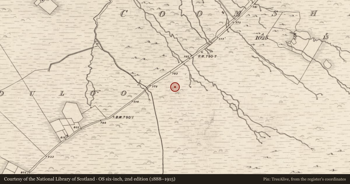 Ordnance Survey six-inch map, 2nd edition (1888–1915) covering the location of Hut site, Coomshanna, County Kerry, with a pin at the register's coordinates