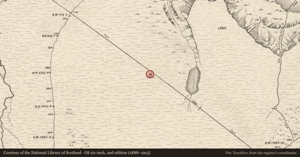 Ordnance Survey six-inch map, 2nd edition (1888–1915) covering the location of Clochan, Killurly Commons, County Kerry, with a pin at the register's coordinates