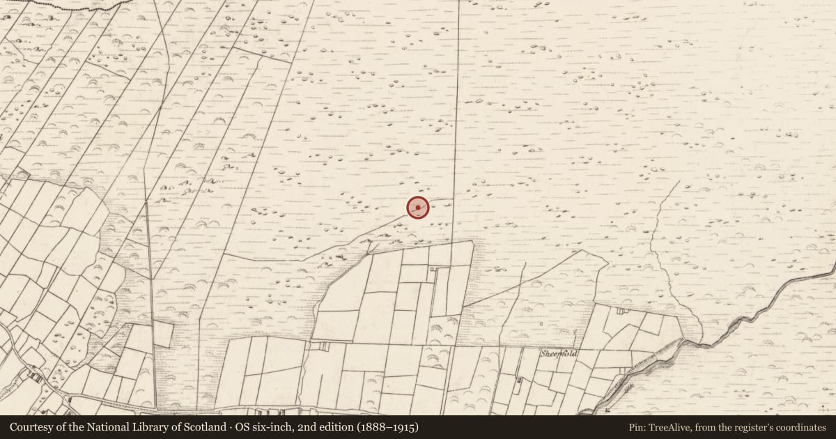 Ordnance Survey six-inch map, 2nd edition (1888–1915) covering the location of Enclosure, Teeromoyle, County Kerry, with a pin at the register's coordinates