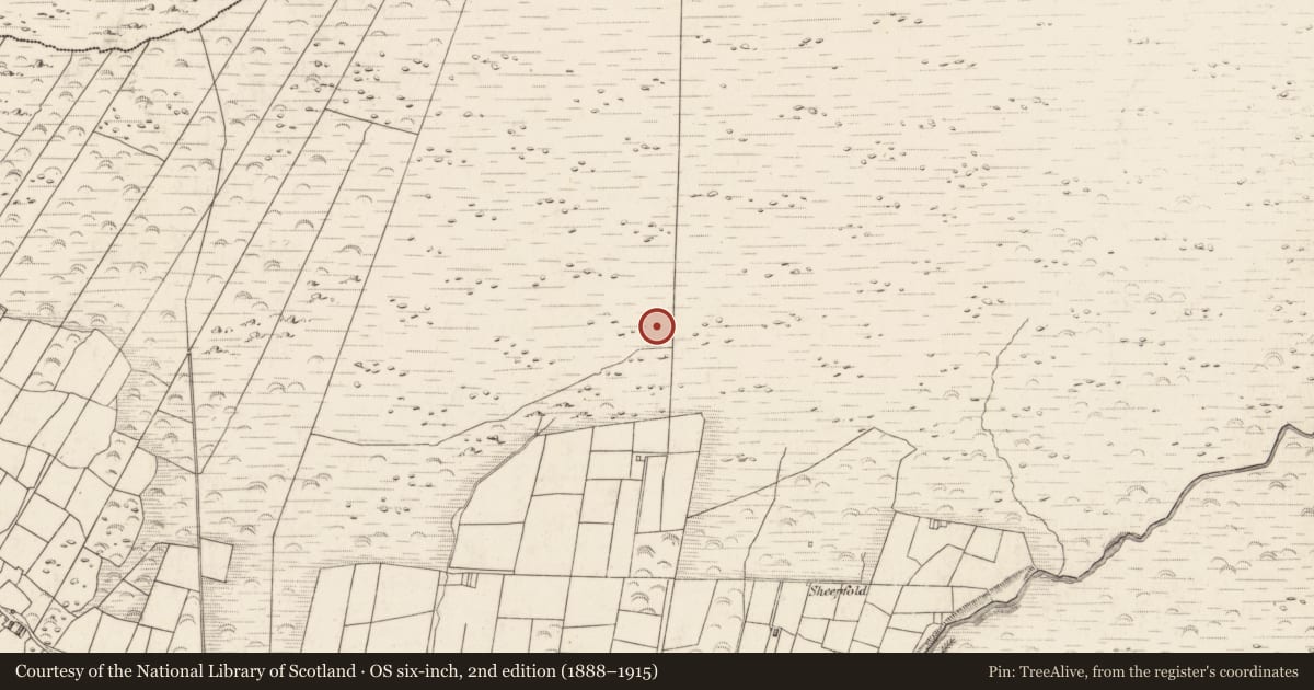 Ordnance Survey six-inch map, 2nd edition (1888–1915) covering the location of Hut site, Teeromoyle, County Kerry, with a pin at the register's coordinates