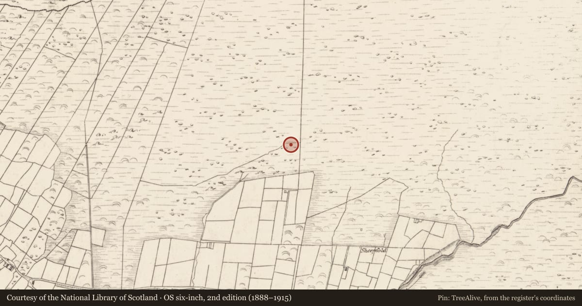 Ordnance Survey six-inch map, 2nd edition (1888–1915) covering the location of Hut site, Teeromoyle, County Kerry, with a pin at the register's coordinates