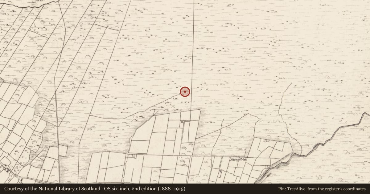 Ordnance Survey six-inch map, 2nd edition (1888–1915) covering the location of Enclosure, Teeromoyle, County Kerry, with a pin at the register's coordinates