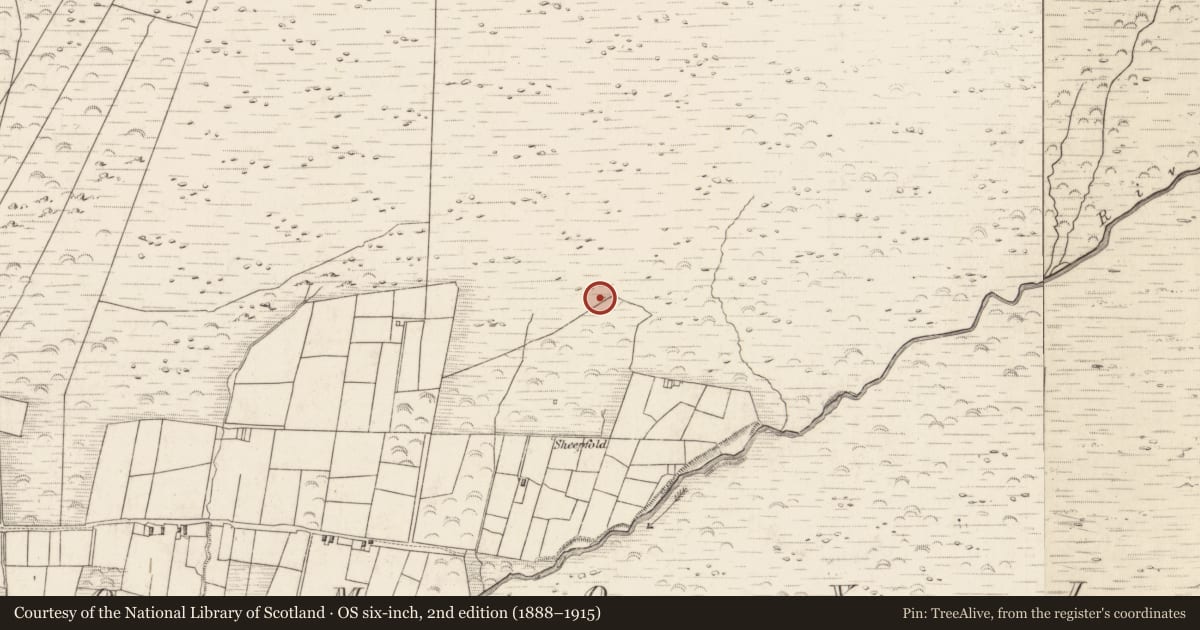 Ordnance Survey six-inch map, 2nd edition (1888–1915) covering the location of Hut site, Teeromoyle, County Kerry, with a pin at the register's coordinates