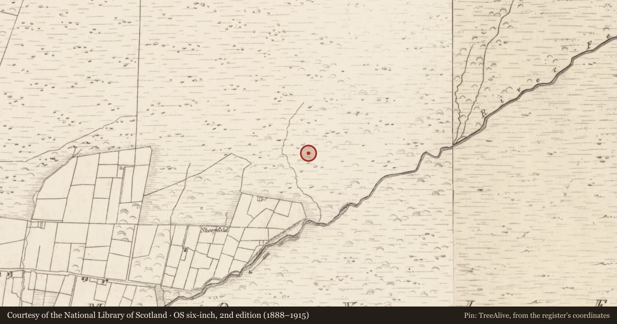 Ordnance Survey six-inch map, 2nd edition (1888–1915) covering the location of Hut site, Teeromoyle, County Kerry, with a pin at the register's coordinates