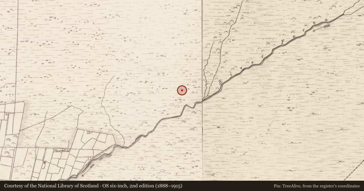 Ordnance Survey six-inch map, 2nd edition (1888–1915) covering the location of Hut site, Teeromoyle, County Kerry, with a pin at the register's coordinates