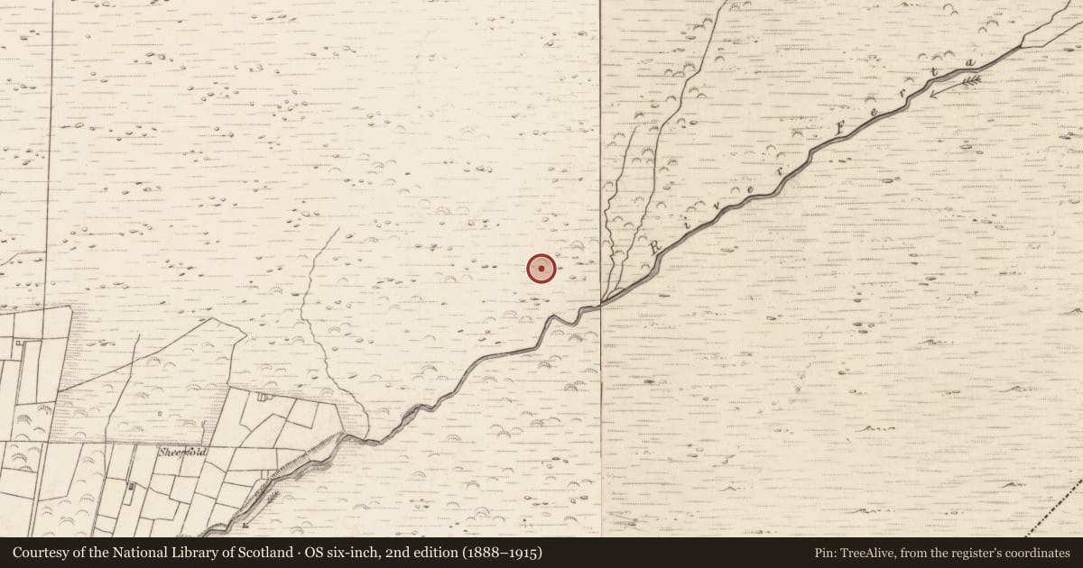 Ordnance Survey six-inch map, 2nd edition (1888–1915) covering the location of Hut site, Teeromoyle, County Kerry, with a pin at the register's coordinates