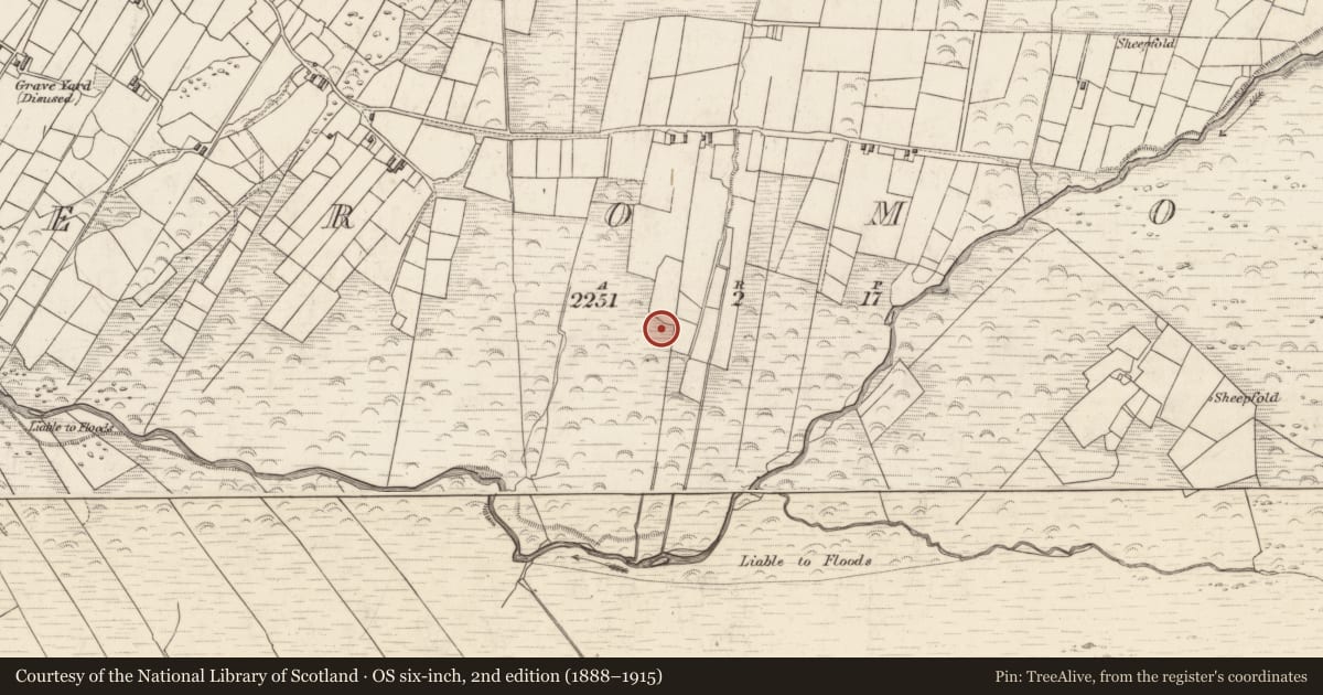 Ordnance Survey six-inch map, 2nd edition (1888–1915) covering the location of Burnt spread, Teeromoyle, County Kerry, with a pin at the register's coordinates