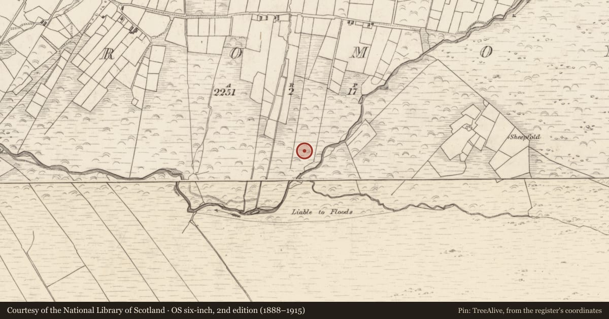 Ordnance Survey six-inch map, 2nd edition (1888–1915) covering the location of Hut site, Teeromoyle, County Kerry, with a pin at the register's coordinates