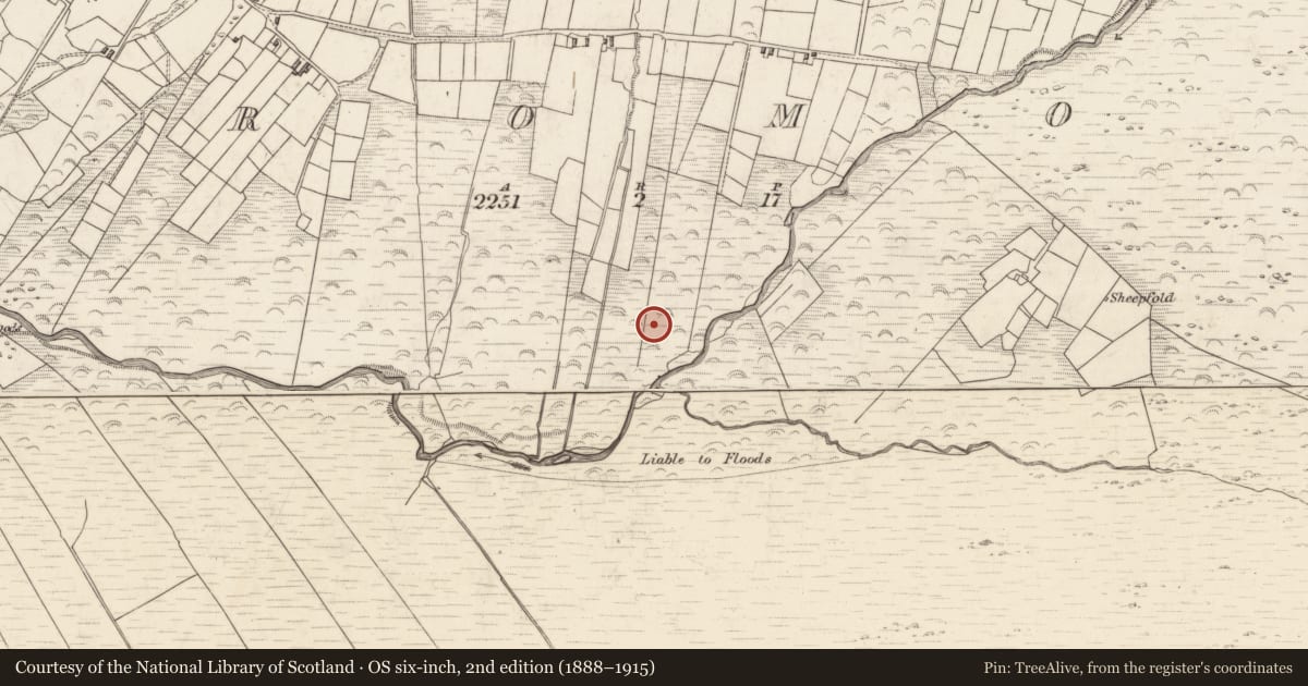 Ordnance Survey six-inch map, 2nd edition (1888–1915) covering the location of Field boundary, Teeromoyle, County Kerry, with a pin at the register's coordinates