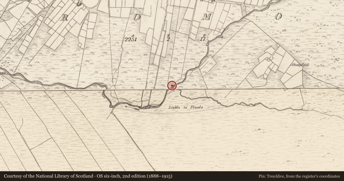 Ordnance Survey six-inch map, 2nd edition (1888–1915) covering the location of Enclosure, Teeromoyle, County Kerry, with a pin at the register's coordinates