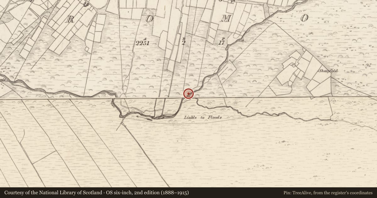 Ordnance Survey six-inch map, 2nd edition (1888–1915) covering the location of Field boundary, Teeromoyle, County Kerry, with a pin at the register's coordinates