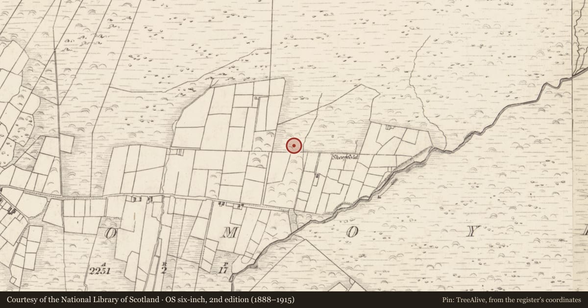 Ordnance Survey six-inch map, 2nd edition (1888–1915) covering the location of Hut site, Teeromoyle, County Kerry, with a pin at the register's coordinates