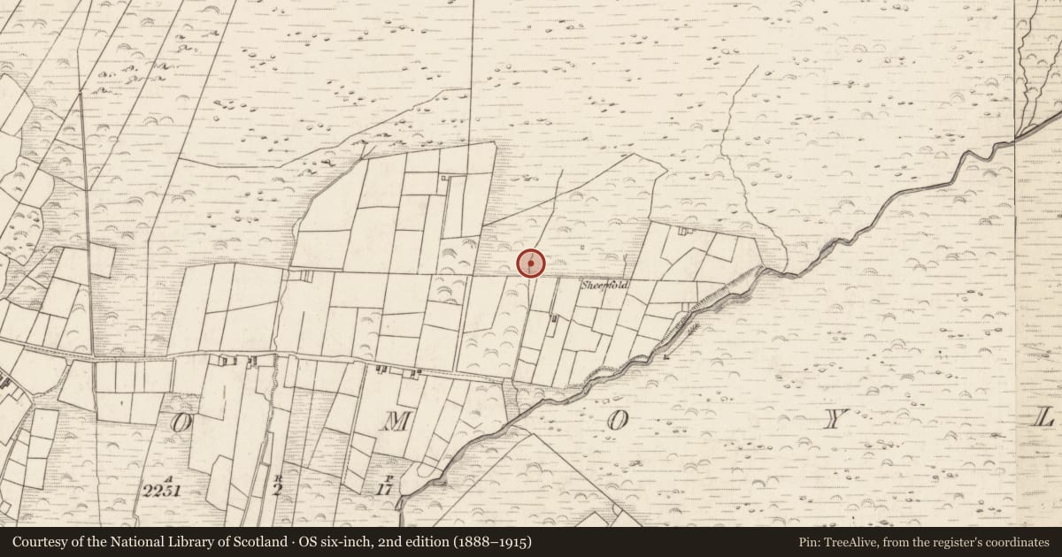 Ordnance Survey six-inch map, 2nd edition (1888–1915) covering the location of Hut site, Teeromoyle, County Kerry, with a pin at the register's coordinates