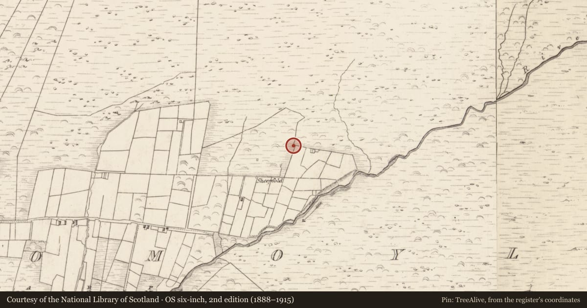 Ordnance Survey six-inch map, 2nd edition (1888–1915) covering the location of Hut site, Teeromoyle, County Kerry, with a pin at the register's coordinates