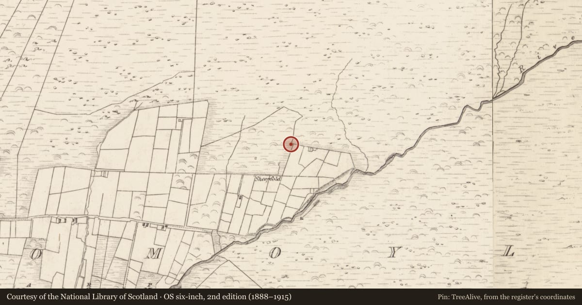 Ordnance Survey six-inch map, 2nd edition (1888–1915) covering the location of Hut site, Teeromoyle, County Kerry, with a pin at the register's coordinates