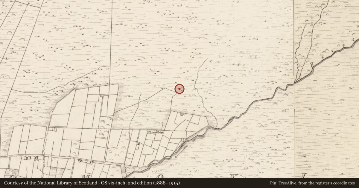 Ordnance Survey six-inch map, 2nd edition (1888–1915) covering the location of Hut site, Teeromoyle, County Kerry, with a pin at the register's coordinates
