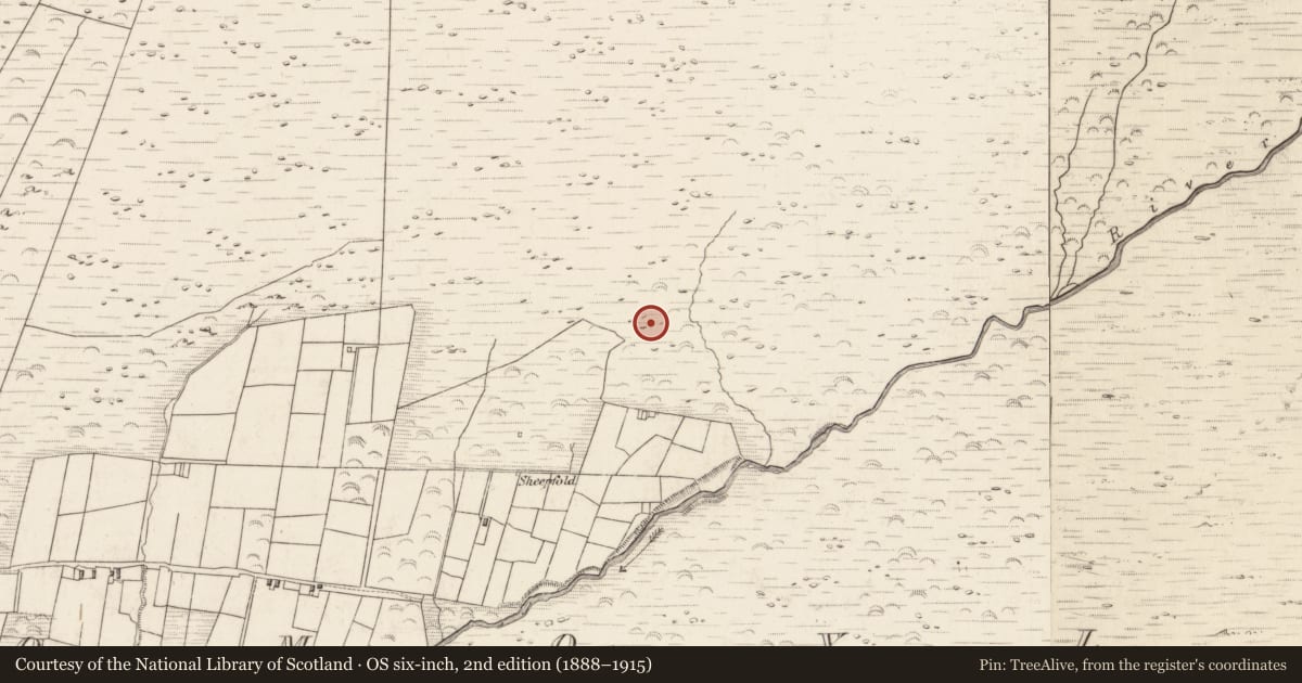 Ordnance Survey six-inch map, 2nd edition (1888–1915) covering the location of Hut site, Teeromoyle, County Kerry, with a pin at the register's coordinates