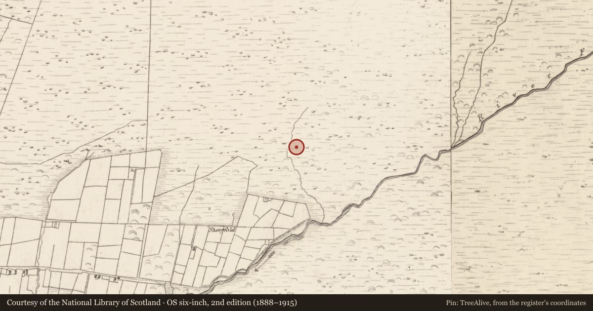 Ordnance Survey six-inch map, 2nd edition (1888–1915) covering the location of Hut site, Teeromoyle, County Kerry, with a pin at the register's coordinates