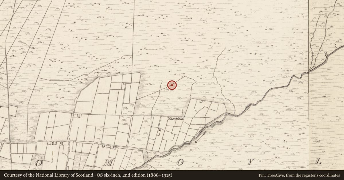 Ordnance Survey six-inch map, 2nd edition (1888–1915) covering the location of Hut site, Teeromoyle, County Kerry, with a pin at the register's coordinates